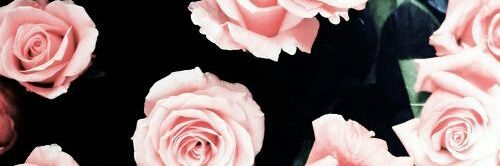 vmaharany_'s profile banner image