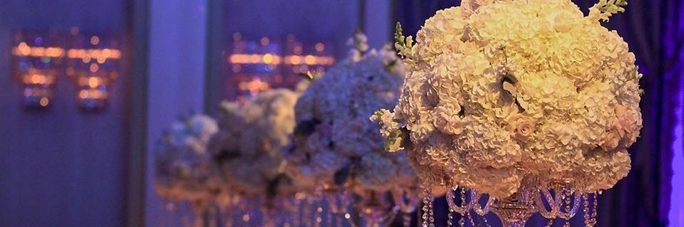 GreenDotEvents's profile banner image