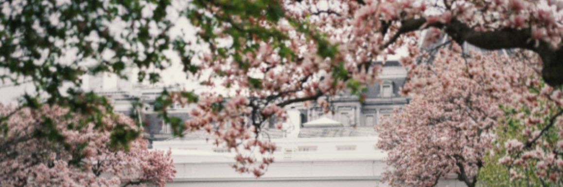 c banner