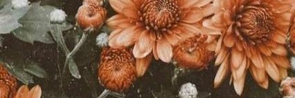 _Anitacuesta's profile banner image