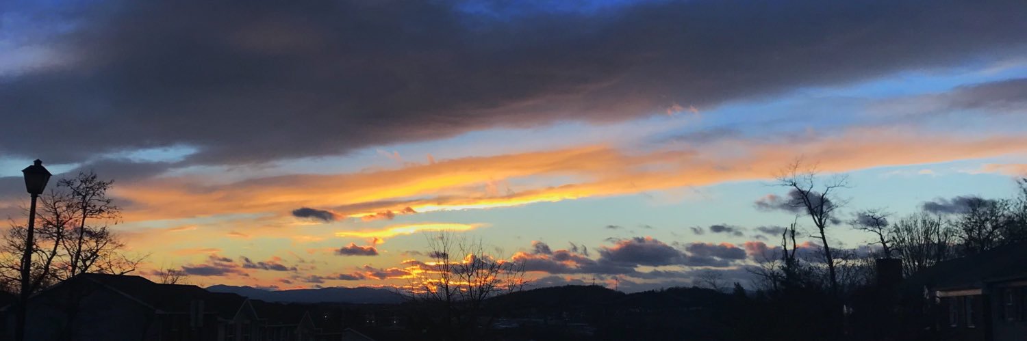Hannah_Caley's profile banner image