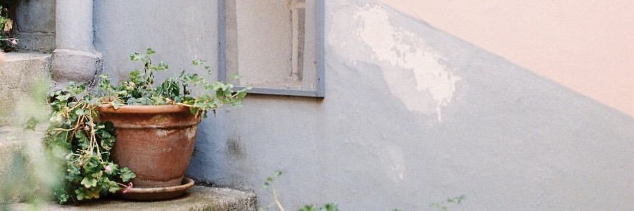 brie_thomason's profile banner image