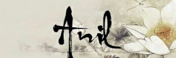 anild8424's profile banner image