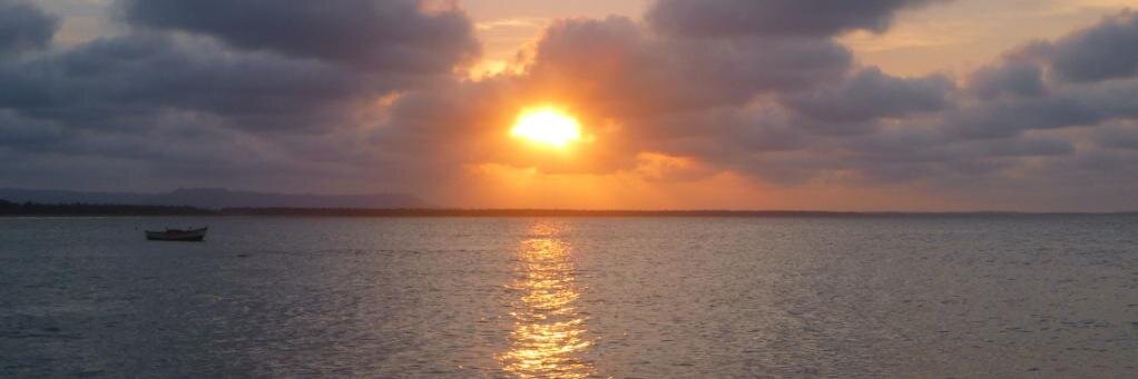 DennysBorjas's profile banner image
