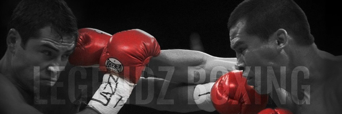 Legendzboxing banner