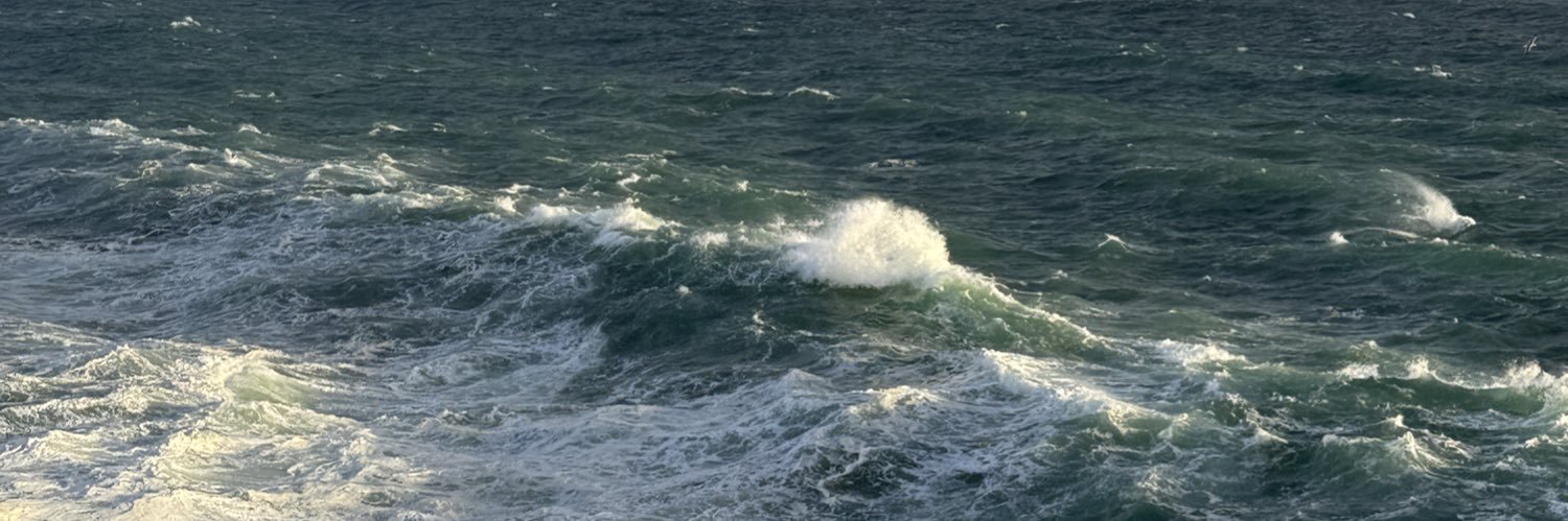 Duncan Wingen banner