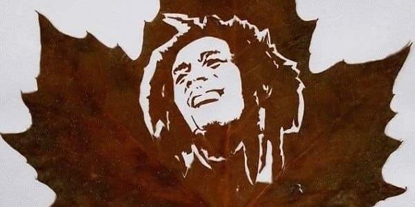 karemohrey's profile banner image