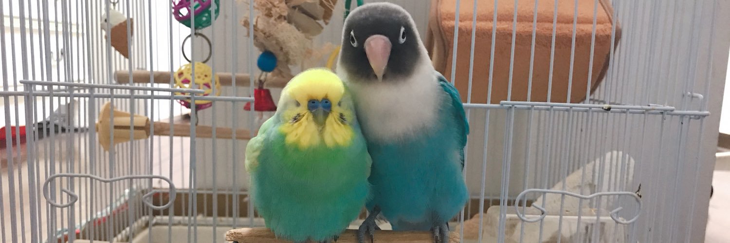 Seiji Takahashi - timakin / ベースマキナで社内管理画面作成 banner