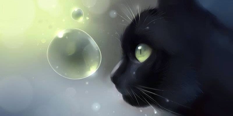 melmo1000's profile banner image