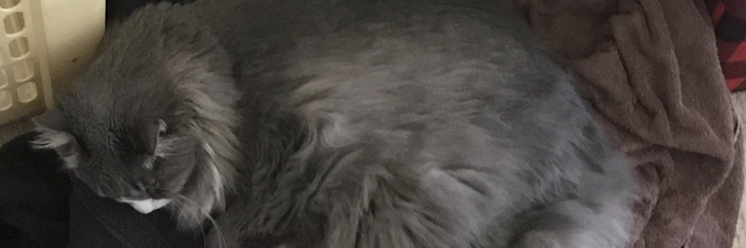 sixteenthmonth's profile banner image