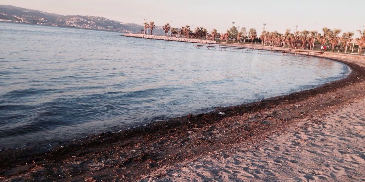 emineesarginn's profile banner image