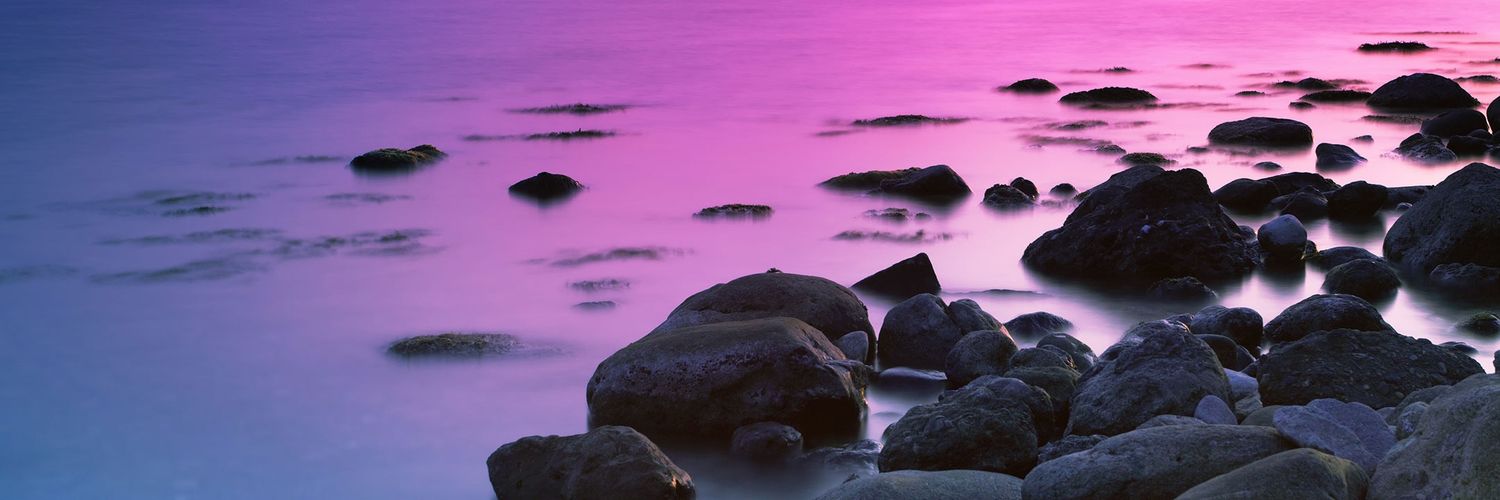 Codrina_Elena's profile banner image