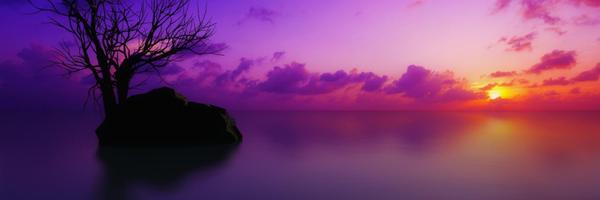 LatinLaura32 Profile Banner