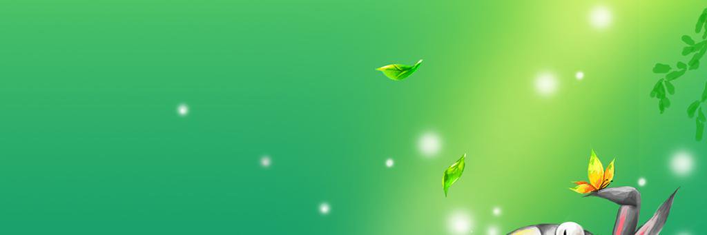 SOPHIA菲 banner
