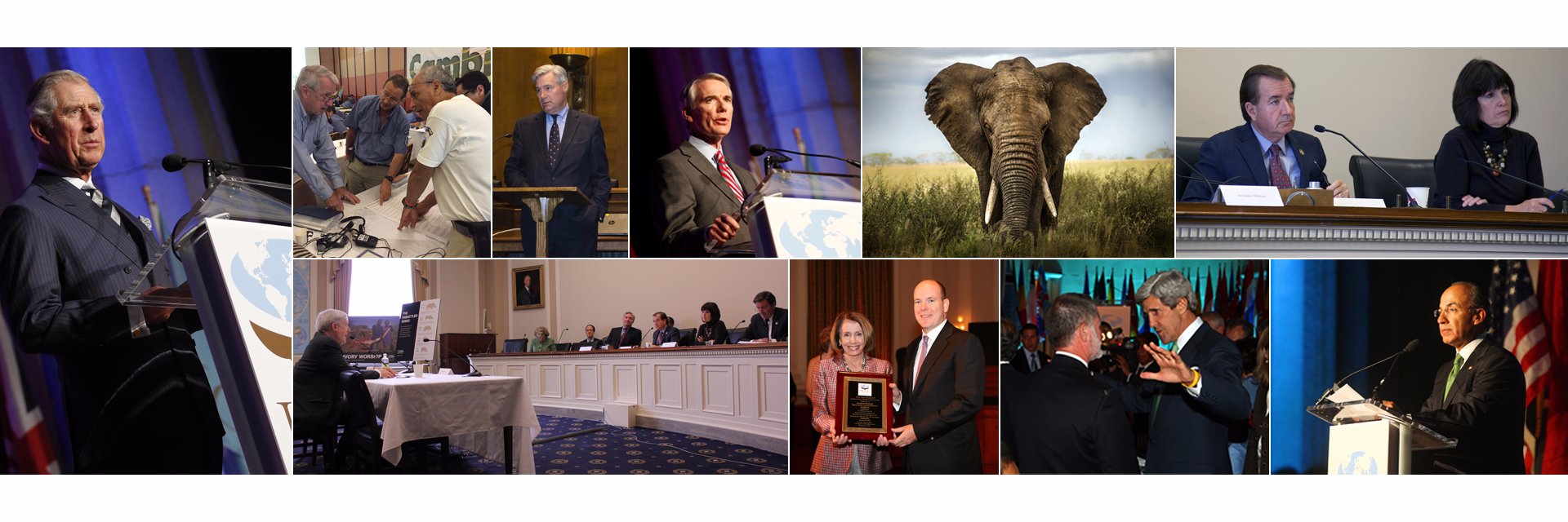 The ICCF Group banner