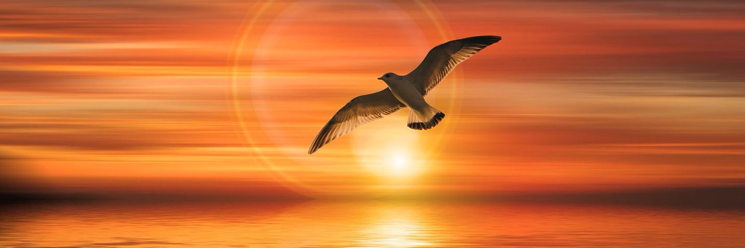 abeshi2929's profile banner image