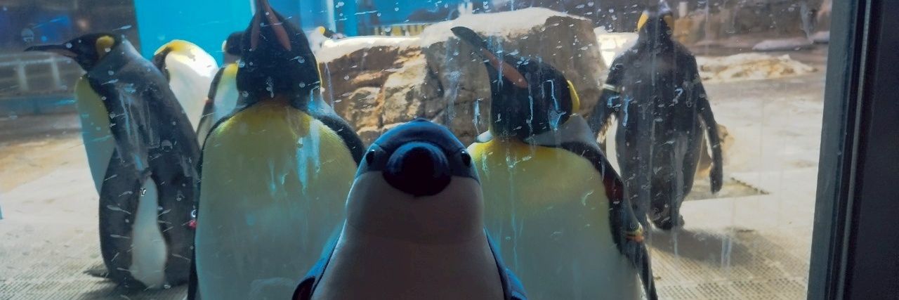 あるる🐧 banner