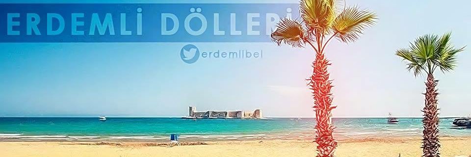 erdemlibel's profile banner image