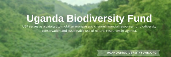 ubf_info Profile Banner