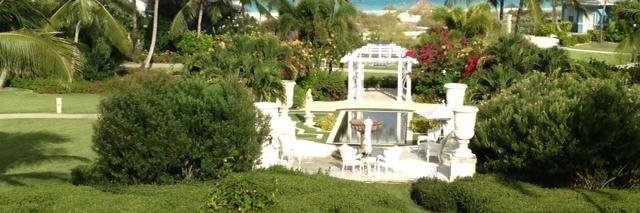 glennaclay's profile banner image