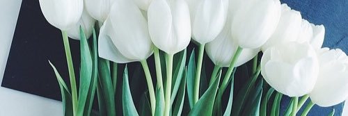 maluhferraz's profile banner image