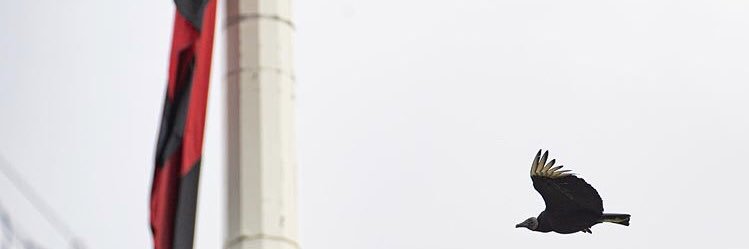 maxgreensh's profile banner image