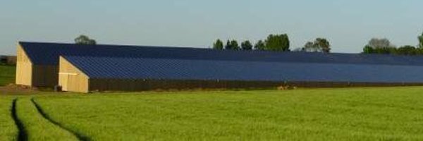 fxcallens Profile Banner