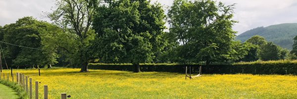 ShonaHaslam Profile Banner