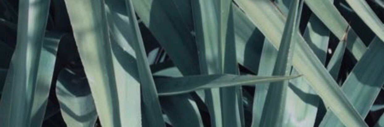 R A Y ✌️ banner