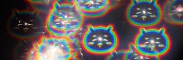 🕊️ banner
