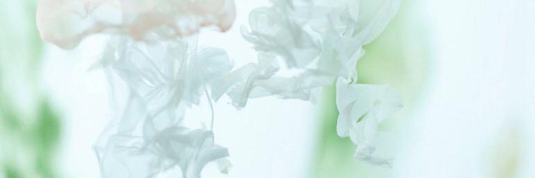 Peachbellinis's profile banner image
