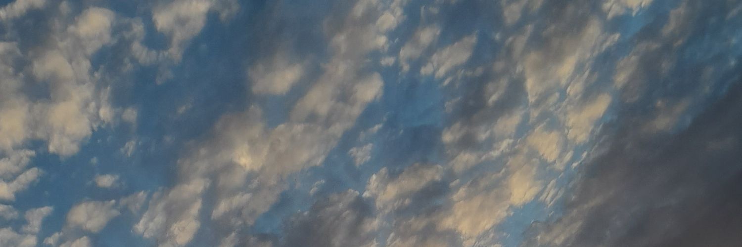 77_meel's profile banner image