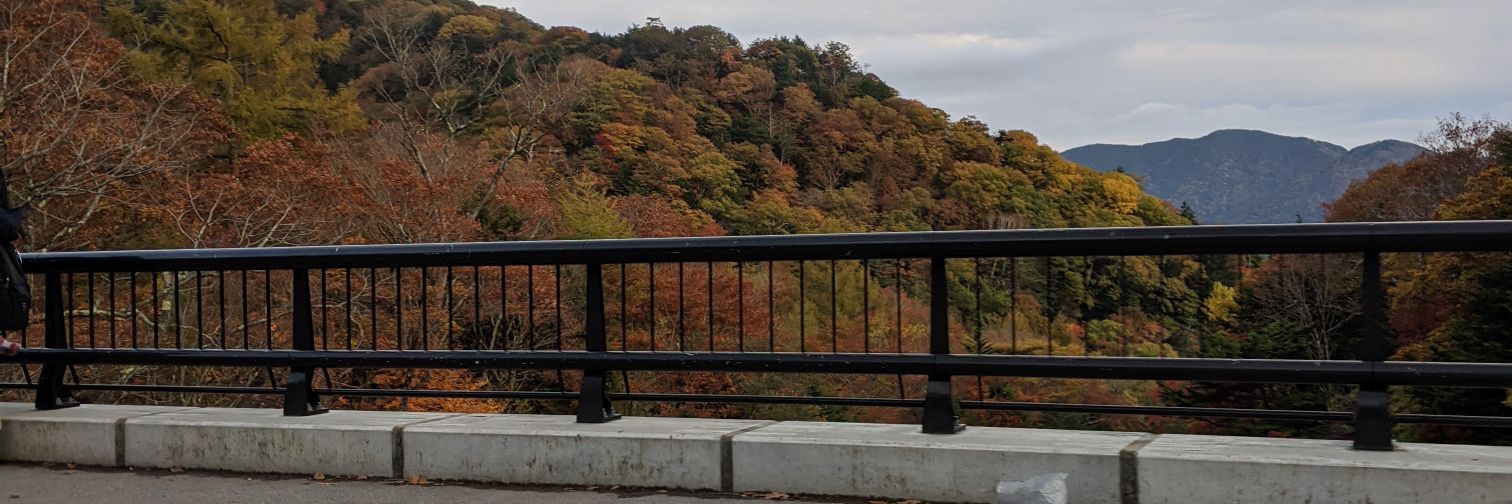 yoshidaaaaaa_'s profile banner image