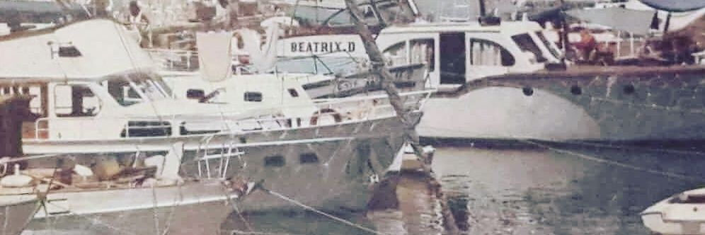 CavitTuna's profile banner image