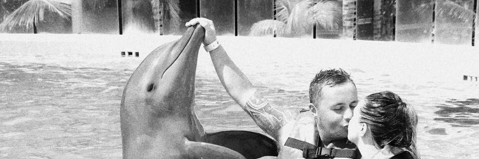 LHiggins96's profile banner image