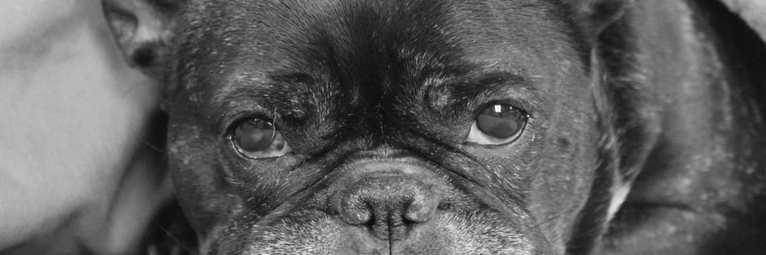 Celine_Beaurain's profile banner image