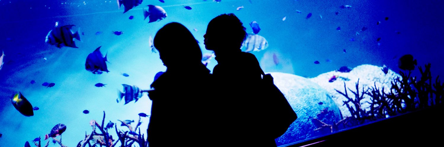 🌺다홍🌺 banner