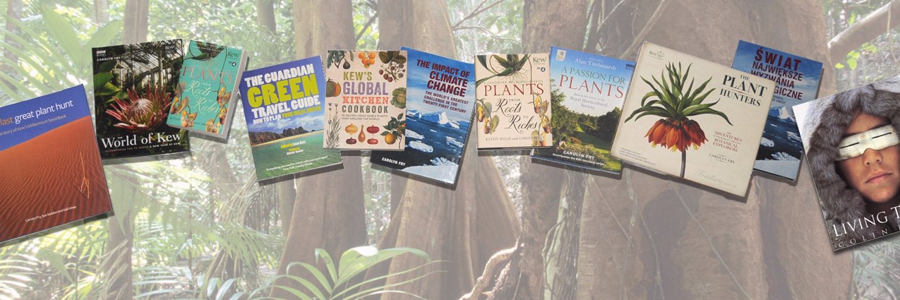 Carolyn A Fry banner