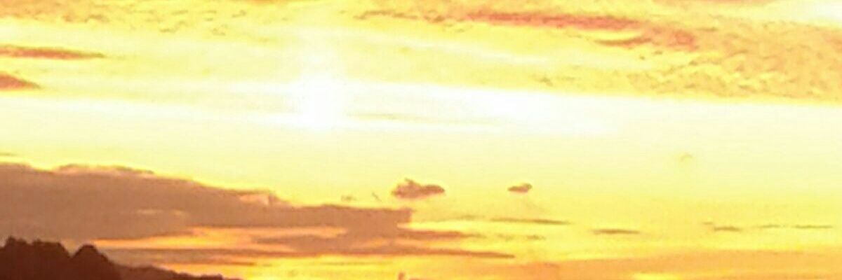 diana_espada's profile banner image
