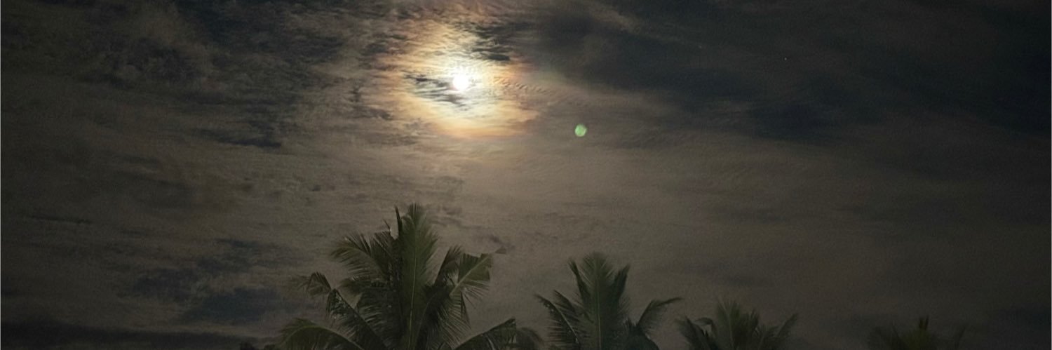 _sh_cer's profile banner image