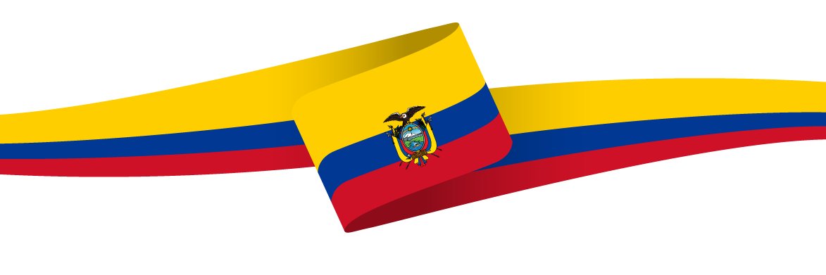 ElizDelucchi's profile banner image