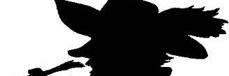 amerigo1966's profile banner image