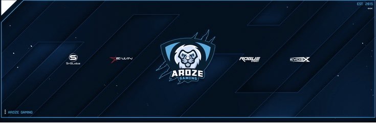 Aroze Gaming banner