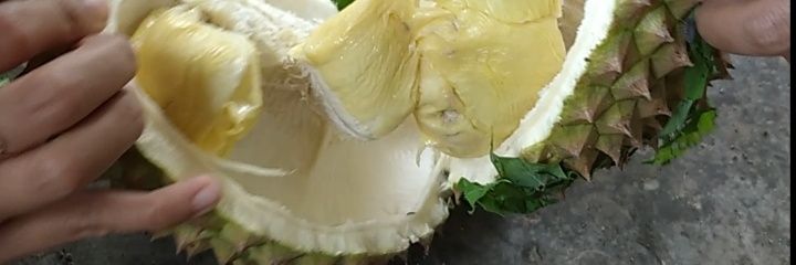 sriemarni's profile banner image