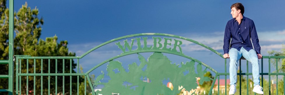 weswilb's profile banner image