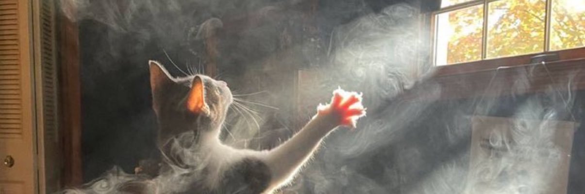 pepiteeeee's profile banner image