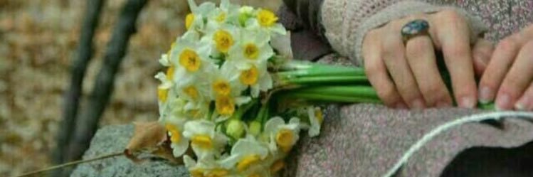 🕊ąཞɛʑơơ… banner