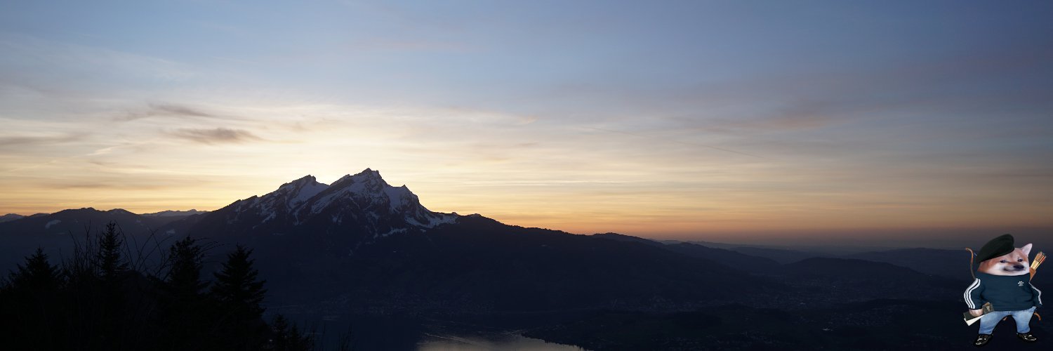 Marco Gabriel banner