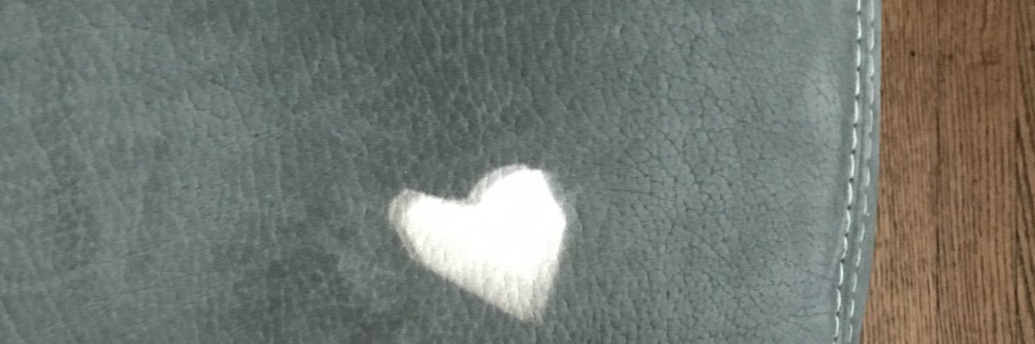 Olga Cohen🌻Slava Ukraini🇺🇦🇺🇸☮️ banner