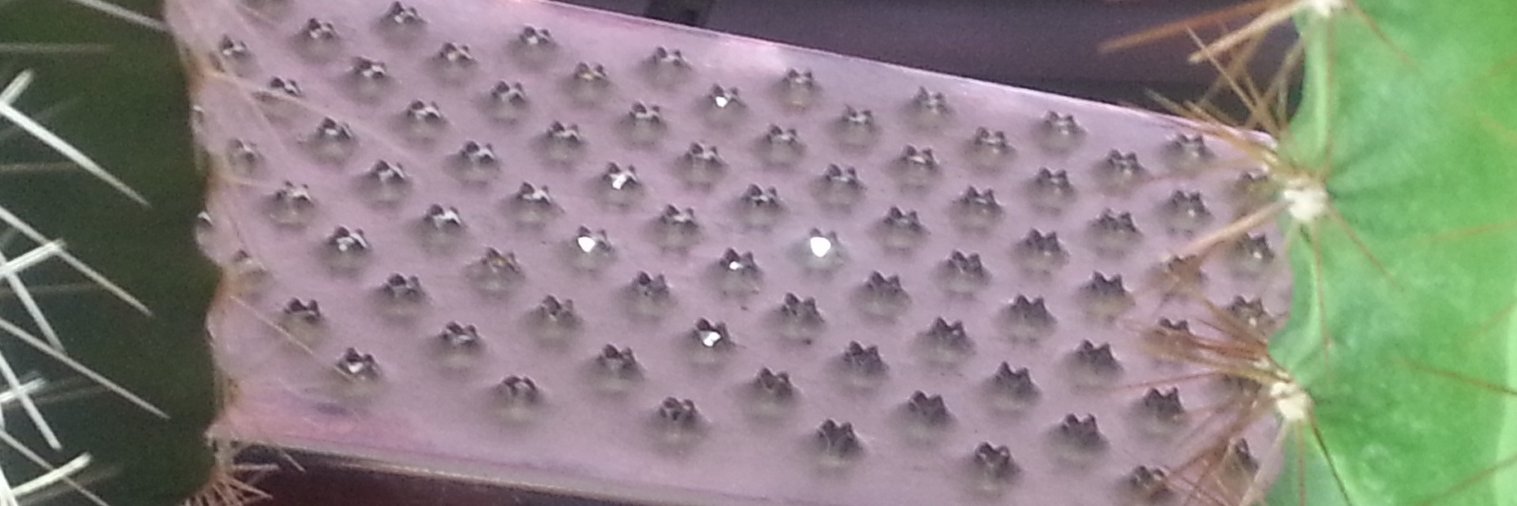 gentilmanfred banner